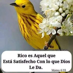 Meet your Posher, Rosa